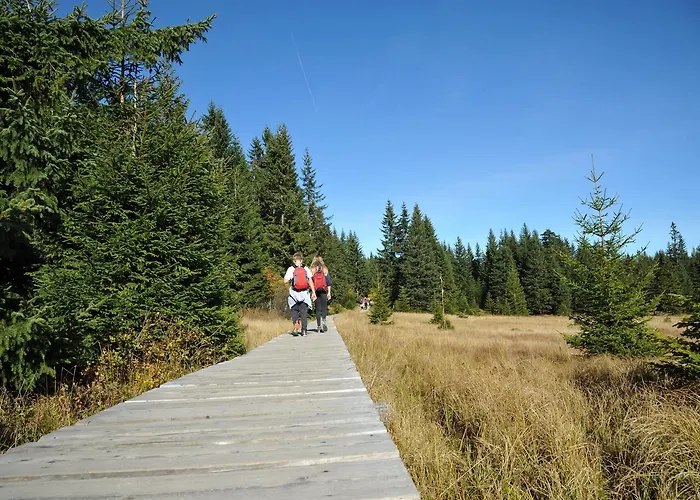 Apartament Tyrolska Zagroda - Z Własnym Balkonem Lub Tarasem Karpacz